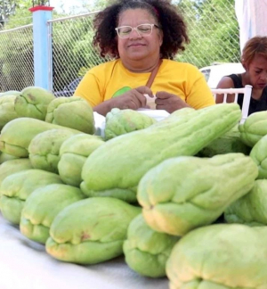 6ta. Feria de la Tayota en Manabao, Jarabacoa
