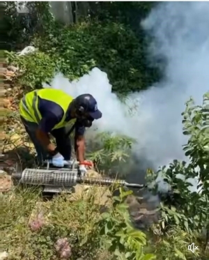 CPADB continua operativo de fumigación en el Gran Santo Domingo